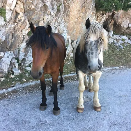 Casabrillantin Apartman *