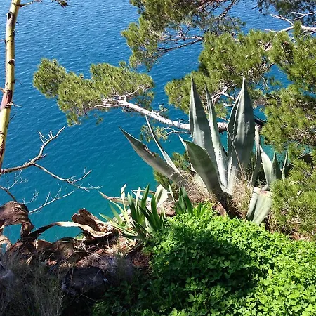 Casabrillantin Tučepi