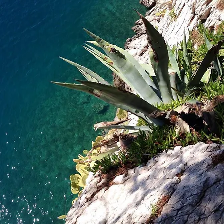 Casabrillantin Appartement